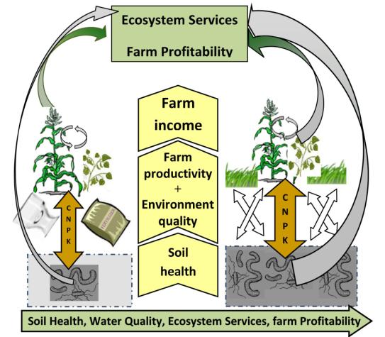 Conceptual conventional and soil health-conservation model for corn-soybean rotation.