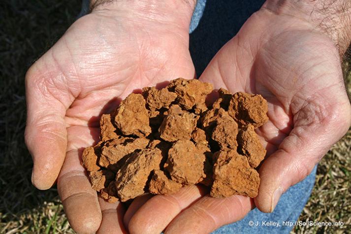 Sand, silt, clay and organic matter bind together to provide stucture to the soil. The individual units of structure are called peds.John Kelley, SoilScience.info