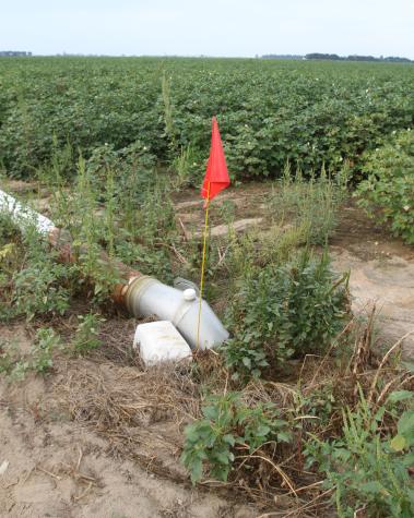 Missouri agricultural retailers are beginning to use the Flag the Technology method to reduce errors in herbicide applications and limit off-target chemical drift. Photo courtesy of Kevin Bradley