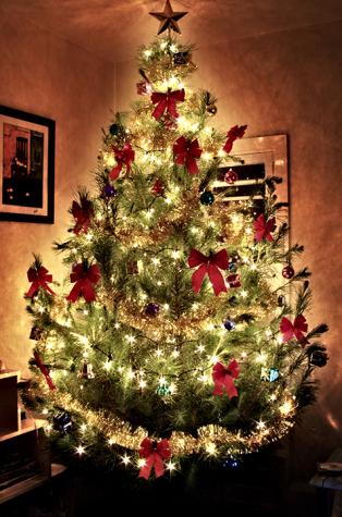 A Glowing Christmas treeGavin Mills