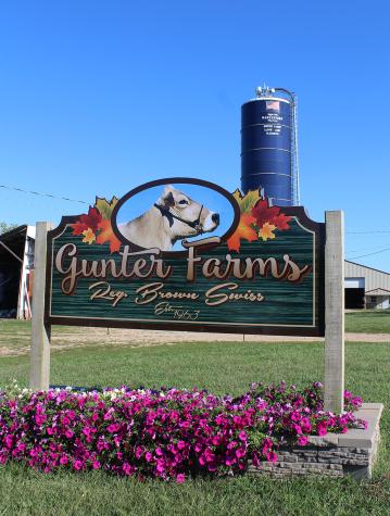 Gunter Farms, established 1963, raises dairy cows, corn, wheat, alfalfa and pumpkins.Photo by Linda Geist