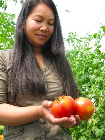 Pathoumma Meusch, a native of Laos, grows farmers market mainstays like tomatoes in high tunnels at Meusch Farms. She also grows nontraditional picks and educates customers on how to use these foods at home.Photo by Linda Geist