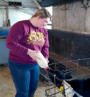 MU student and Foremost Dairy worker Sara Estes bottle feeds colostrum to a newborn calf. The dairy's colostrum management system reduces scours, pneumonia and death levels by feeding high-quality colostrum to calves soon after birth. Photo courtesy of Sc