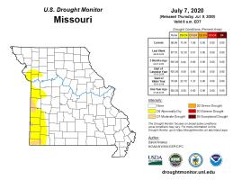 July 7, 2020, U.S. Drought Monitor map for Missouri.https://droughtmonitor.unl.edu