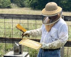 University of Missouri Extension agronomist and longtime beekeeper Travis Harper will teach the hands-on portion of the Heroes to Hives program in Missouri. The program helps veterans learn beekeeping. Photo by Tevin Uthlaut.