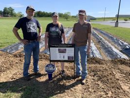 MU Extension in Ste. Genevieve is home to the first of three demonstration plots in the state to help develop standardized practices for growing lavender in Missouri. Pictured, from left, are MU Extension horticulturists and project researchers Patrick By
