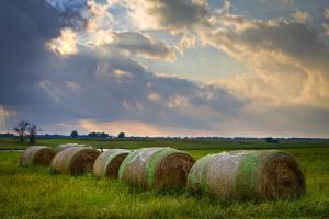 Producers can reduce hay loss with proper storage, says University of Missouri Extension specialist Charles Ellis. Photo courtesy MU College of Agriculture, Food and Natural Resources.