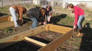 4-H youth in Dade County built community gardens for families to grow their own food.University of Missouri Extension 4-H