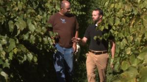 Winery owner Jason Gerke, left, and MU Extension horticulturist Marlin Bates.University of Missouri Extension