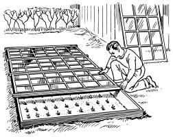 Cold frames and hotbeds are great for starting cool-season plants such as lettuce and spinach. They also allow you to harden off seedlings you started indoors.Public domain image.