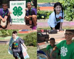 New 4-H delivery modes have been introduced to achieve the national goal of reaching 10 million youth by 2025. New delivery modes include Special Interest Clubs (SPIN Clubs), and in-school or after school settings project experiences. 