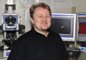 Peter Sutovsky uses imaging technology to track ubiquitin, a protein that helps recycle no longer needed parts of sperm cells after fertilization. This protein attaches itself to the surface of faulty sperm. The same imaging technology is used to study inJessica Salmond/MU Cooperative Media Group