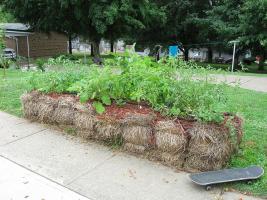 Straw bale gardening offers gardeners options in many locations. The key to success is conditioning of the bales.Photo by Flickr user knitsteel/CC BY-SA 2.0