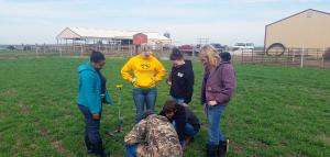 University of Missouri veterinary students learned how to use a platemeter to calibrate forage cuttings. The hands-on training is part of an MU School of Veterinary Medicine production medicine class that combines classroom work with visits to dairy farmsPhoto courtesy of Stacey Hamilton.