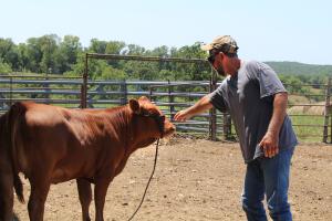 Blaine Kemna of St. Elizabeth, Mo., was born with hydrocephalus, a condition that causes water to put pressure on the brain. He continues to farm and raise Gelbvieh cattle with assistance from the Missouri AgrAbility Project and partners.