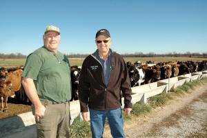 Denis Turner, left, uses practices recommended by University of Missouri Extension at Turner’s Heifer Haven. MU Extension dairy specialist Ted Probert, right, works with Turner on research-based practices such as rotational grazing, pasture renovation, syPhoto by Linda Geist