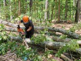 MU Extension natural resources specialist Sarah Havens connects with women landowners across the state to help them find their passion in forestry.
