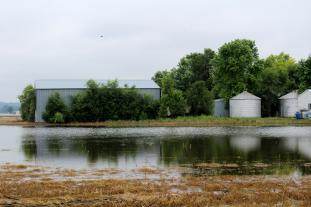 In this 2019 file photo, flooding in crop fields leaves behind debris and submerged plants that may die or suffer yield damage. This year, abundant rainfall threatens late-planted crops in much of Missouri. Photo by Linda Geist.