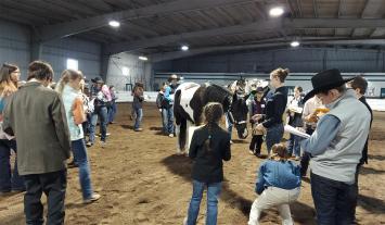 Halter class at the 2023 Missouri 4-H horse judging contest in Fulton.