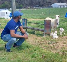 MU Extension small-ruminant specialist David Brown observes a ewe with her lambs. Photo courtesy of David Brown.