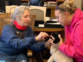 Inserting feeding tube into toy lamb