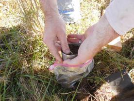 Soil testing