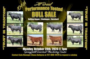 Bull sale flyer