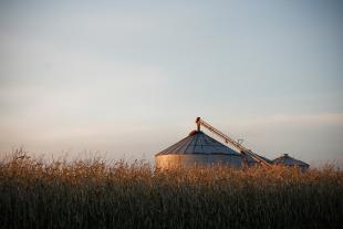 Corn grain bin