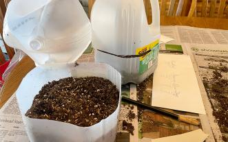 plastic jug greenhouse