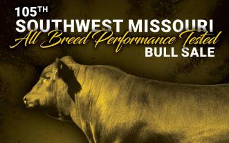 bull sale