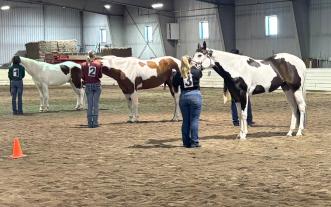 Contestants showing horses.