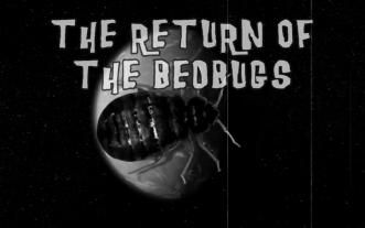 The Return of the Bedbugs