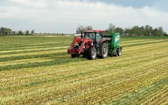 Hay in a field