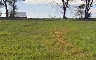 Damaged field