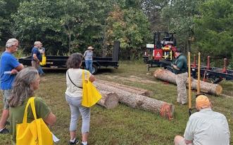 Sawmill demo