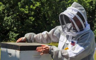Beekeeper at work
