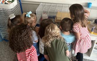 Elementary school students gathered around newly hatched chicks