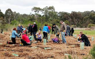 People planting trees