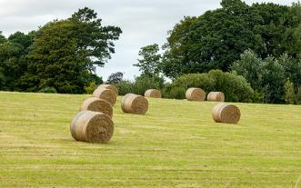 Hay bales in a field