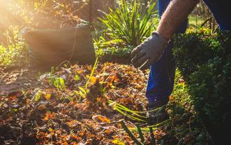 Garden cleanup