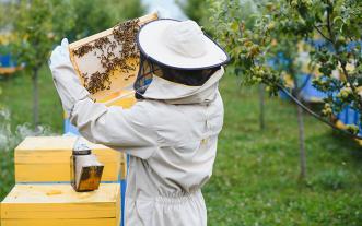 Beekeeper