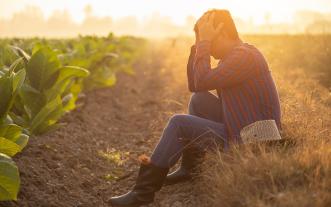 Stressed farmer in field