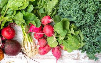 An array of fresh produce