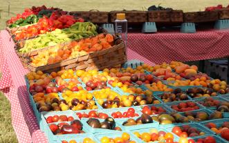 Hot peppers at 2024 Tomato Festival