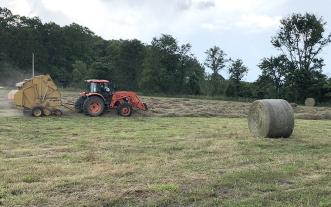 making hay