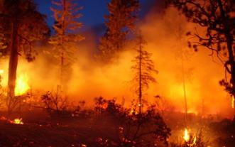 wildfire