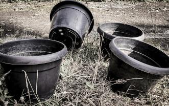 plastic plant pots