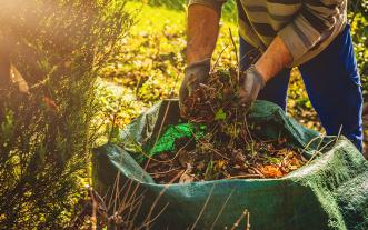 cleaning up garden in fall