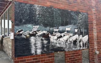 Mural depicting cattle