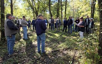 People gathered in a woodland setting